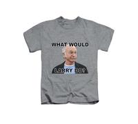 What Would Larry do Larry Sander, Meme Novelty Humour Sitcom Show Tee T-Shirt Funny Unisex T Shirt Top Heather Grey