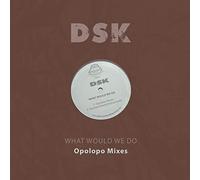 What Would We Do - Opolopo Mixes
