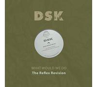 DSK - What Would We Do - The Reflex Revision