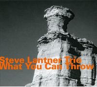 What You Can Throw by Steve Lantner (1999-10-05)