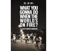 What You Gonna Do When The World's On Fire [DVD]
