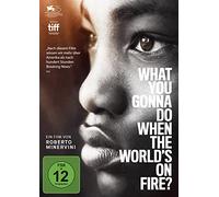 What You Gonna Do When the World's on Fire? (DVD)