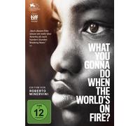 WHAT YOU GONNA DO WHEN THE WORLD'S ON FIRE? - MINERVINI,ROBERTO DVD NEW