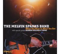 What You Hear Is What You Get by MELVIN SPARKS (2003-04-22)