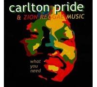 What You Need by Pride, Carlton & Zion (2000-06-06)
