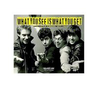 What You See is What You Get: Stiff Little Fingers 1977-1983
