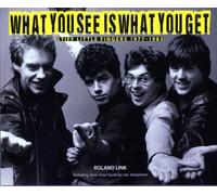 What You See is What You Get : Stiff Little Fingers 1977-1983