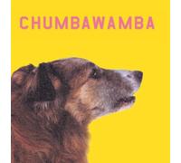 What You See Is What You Get ( WYSIWYG ) by Chumbawamba (2000-04-04)
