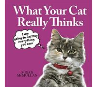 What Your Cat Really Thinks
