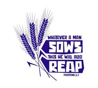 Whatever a Man sows This he Will Also Reap Wall Decals Paster Paper 67.2x70.2cm Store Decoration DarkBlue