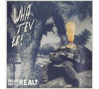 Whatever - Hello, Are You Real ? / Aron d'Alesio [VINYL]
