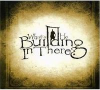 What's He Building in There - What's He Building in There