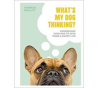 What's My Dog Thinking?