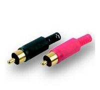 What's New Scooby Doo : Vol. 7 - Ready To Scare [DVD]