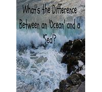 What's the Difference Between an Ocean and a Sea?