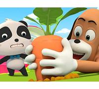 What's Under the Ground?