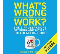 What's Wrong with Work: The 5 Frustrations of Work and How to Fix them for Good