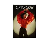 WHBAQ Conan Gray PosterTelepath Poster Canvas Durable Colourfast Wall Art Decorative Painting for Living Room Bedroom Home Decor 12x18inch(30x45cm) Unframe-style