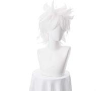 WHBHD Anime Fate/Apocrypha Amakusa Shirou Tokisada Wig Cosplay Costume Fate grand Men short gray Party Play Wigs Shirou Kotomine