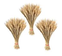 Wheat Bunch Dried Flowers, 300 Dried Wheat Stems, Natural Dried Wheat Sheaves Stalks Bouquet Bundles, Artificial Dried Wheat for Fireplace Home Kitchen Church Table Wedding Store Wreath Decoration