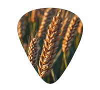 Wheat ears printed guitar picks, 12-piece set with thin, medium, and thick styles, comes with a storage case
