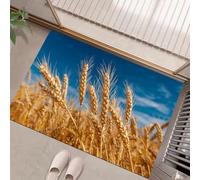 Wheat Ears Under Blue Sky Door Mat Indoor & Outdoor - Machine Washable Soft Dirt Trapper Non-slip Doormats - Plant Photography Printed Mat - for Indoor Outdoor Home Decor - Golden Yellow - 50 x 80 cm