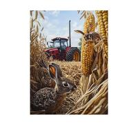 Wheat Field Paint by Numbers for Adults Rabbit Painting by Numbers for Adults, Art Supplies with Color Canvas for Painting 16 x 12 in 36 Colors of Acrylic Paint and Brush, Room Decor Gifts 2YH-13194
