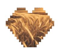 Wheat Field Print Art Brick Puzzle Heart Shaped DIY Building Blocks Set 3D Jigsaw Home Decor 53 Pieces