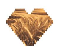 Wheat Field Print Art Brick Puzzle Heart Shaped DIY Building Blocks Set 3D Jigsaw Home Decor 82 Pieces