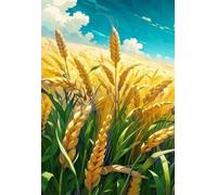 Wheat Fields 70 Piece Jigsaw Puzzles for Adults, Challenging and Brainteasing, Difficult Puzzles, Puzzle 70 Pieces