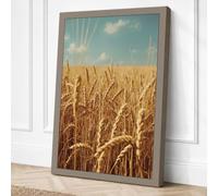 Wheat Fields at Golden Hour Canvas Wall Art Print 24x16 Inch (61 x 41 cm)