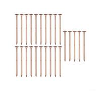 WheatThrive Copper Nails 3 Inch Heavy Duty Stump Removal Spikes Pure Copper for Killing Trees for Root Elimination 25pcs