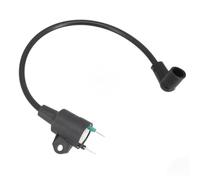 WheatThrive Ignition Coil, Generator Spare Part, High Voltage Pack for 145F 650 ET950, 950W Output, Durable Rubber, Black