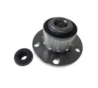 AUTOMEGA 110059310 Wheel bearing kit