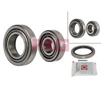 FAG 713 6671 00 Wheel bearing kit