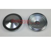 Wheel Bearing Cap Fits RENAULT Clio I Box II III Megane Classic 84-09