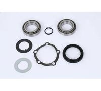 ASHIKA 44-10090 Wheel bearing kit