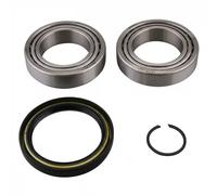 AIC 59647 Wheel bearing kit