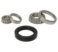 BTA H1M003BTA Wheel bearing kit