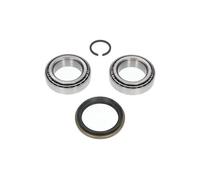 KAVO PARTS WBK-5502 Wheel bearing kit