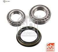 FEBI BILSTEIN 173670 Wheel bearing kit