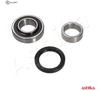 ASHIKA 44-28014 Wheel bearing kit