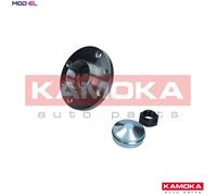 WHEEL BEARING KIT 5500029 FOR FIAT 176B1.000/B4.000 1.2L 4cyl PUNTO