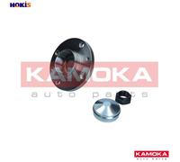 WHEEL BEARING KIT 5500029 FOR FIAT 176B1.000/B4.000 1.2L 4cyl PUNTO
