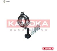 WHEEL BEARING KIT 5500174 FOR AUDI A4 A5/Convertible/Sportback Q5/SUV A8L Q7 A5