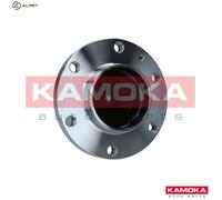 WHEEL BEARING KIT 5500308 FOR VW CRAFTER/30-50/Van BJJ/CEBA 2.5L 5cyl
