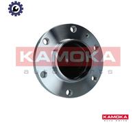 WHEEL BEARING KIT 5500308 FOR VW CRAFTER/30-50/Van BJJ/CEBA 2.5L 5cyl
