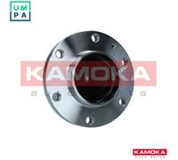 WHEEL BEARING KIT 5500308 FOR VW CRAFTER/30-50/Van BJJ/CEBA 2.5L 5cyl