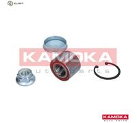 WHEEL BEARING KIT 5600011 FOR RENAULT CLIO TWINGO LUTECIA 19/Mk/II/Chamade/