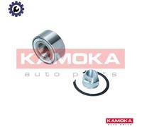 WHEEL BEARING KIT 5600136 FOR FIAT 176B1.000/B4.000 1.2L 4cyl PUNTO